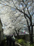 030406 006.jpg
